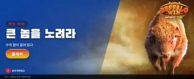 버팔로 윈! 거대한 행운의 주인공